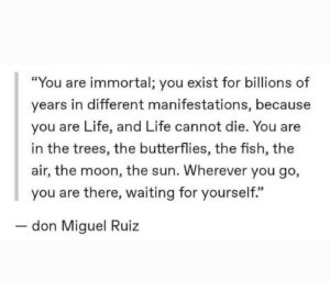 Don Miguel Ruiz Instagram - 📸 @the_wisdom_of_the_shamans
・・・