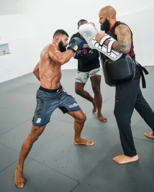 Douglas Lima Instagram - Sept 7th we work!

@triadmechanical
