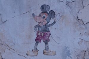 Drew Starkey Instagram - Fichwa! Fellow. Thanks @waltdisneyworld @disneyparks 🐭