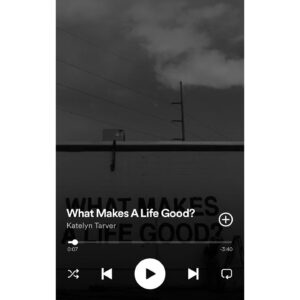Drew Tarver Instagram - My real life Chase Dreams, @katelyntarver, wrote an amazing song called “What Makes A Life Good” and it’s in the series finale of @othertwoshow. Thank you @nylonmag for letting me and my sister talk about our first job together since our failed lemonade stand