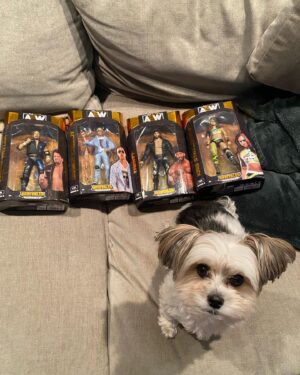 Dustin Howard Instagram - (F)Action Figures
