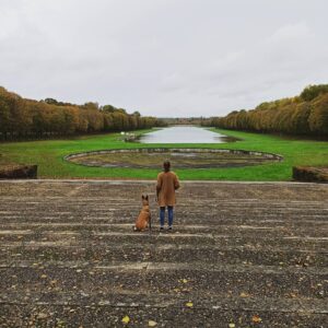 Eduardo Valdarnini Instagram - Autunno a Versailles o l'ultima passeggiata mattutina prima di rinchiuderci di nuovo. 🍁🔓🍂