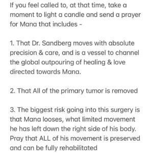 Eka Darville Instagram - Global Ohana!

To each of you who’ve donated and shared, large and small…THANK YOU…
For the words of support and encouragement; you have lifted us in moments where it’s all felt like too much.
…THANK YOU…

The journey continues and we are unshaken in our resolve to heal Mana fully and completely.

For those with 12minutes to spare, watch the detailed video update. For those who don’t, here is my ask: 

- Mana is having a second surgery to debulk the primary tumor
- This will happen at 12noon on the 12th of April Central Standard Time
- The hospital is - Memorial Herman Childrens, Houston Texas
- Our Surgeon is Dr. David Sandberg 

If you feel called to, at that time, take a moment to light a candle and send a prayer for Mana that includes - 

1. That Dr. Sandberg moves with absolute precision & care, and is a vessel to channel the global outpouring of healing & love directed towards Mana.
2. That All of the primary tumor is removed
3. The biggest risk going into this surgery is that Mana looses, what limited movement he has left down the right side of his body. Pray that ALL of his movement is preserved and can be fully rehabilitated
4. The first blood that Mana will be transfused with is mine, however, he will also receive from others who’ve selflessly donated. Pray that all blood products he receives, are clean, vital and easily assimilated by his body.

Your love, belief and collective power have fortified our love of humanity. Mana’s story will be a story of beauty, power & triumph of the human spirit. THANK YOU for being a part of that story!

In fierce Love,
Papa Eka & Mama Lila