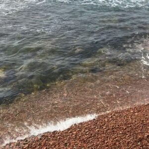 Ekaterina Guseva Instagram - Японское море. Остров Шкота расположен к югу от острова Русский, рядом с Владивостоком. Два острова разделяет мелководный пролив, который можно пройти вброд.
Шкота — небольшой остров, его площадь меньше 2,5 км. Остров назвали в честь капитана Николая Шкота (1828–1870), который руководил начальным этапом застройки Владивостока. Побывали в этих заповедных местах благодаря гастролям театра Моссовета! #ЕкатеринаГусева