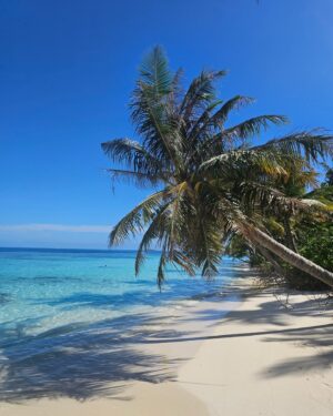 Elena Asimakopoulou Instagram - A dream trip…🌴🌴🌴 
#travel #maldivesislands #holidays #summer #paradise