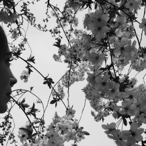 Elham Jafarnezhad Instagram - ساعت ِ دلم خواب رفت به وقت شکوفه های گیلاس
به وقت عاشقی 
در آخرین ثانیه های اردیبهشت 
رو به قبله خرداد.
(الف_ج)
#آخرین_ثانیه_های_اردیبهشت
#الهام_جعفرنژاد