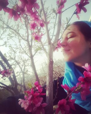 Elham Jafarnezhad Instagram - من عاشق شکوفه هام‌
وقتی شکوفه می بینم مست می شم از زیباییش
نا خوادآگاه لبخند می زنم و انگار تمام دنیا بهم لبخند می زنه
امسال به خودم گفتم هر طوریه باید اولین روز 
سال جدیدم رو برم در دل طبیعت
و اولین روز فروردین از شکوفه ها و درختان ِ بیدار شده و زمین ِ سبز انرژی بگیرم...
خدا رو شکر 
تونستم و رفتم توو دلِ باغ ها و شکوفه ها رو نفس کشیدم
نفس عمیییییق🌸🌸🌸
آرزو می کنم تا آخر سال همه پر انرژی و با طراوت 
همچون بهار باشیم. -------------------------------------------------------
عکس:خویش انداز با دشواری 😂😉
#الهام_جعفرنژاد 
#بهار #بهترین_فصل_بهار #فصل_بهار 
#فصل_من_بهار #شکوفه #شکوفه_ها 
#باغ #زندگی #تازگی #نو_شدن 
#طراوت