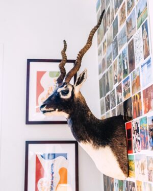 Ellie Holcomb Instagram - Home is everything to Drew and Ellie Holcomb. It’s a place to put their feet up, hang out with family and friends, and get some much needed R&R in between tour dates. 

Their Nashville space also doubles as an archive of memories, in the form of old tour posters, art they collected while abroad, and souvenirs from family trips.

“My dad had this thing when we would travel where he would give us a budget for trinkets,” says Drew. “He would always encourage us to buy something ‘real.’ So when I was eight years old, I bought a real tomahawk in Mesa Verde. I still have it!”

Head to Billy Reid to read more about being At Home with the Holcombs.