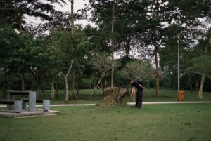 Emily Chan Instagram - 傍晚在公園散步，一個男子迎面跑來，向我點頭微笑。我不自覺緊繃起來，雖然也微笑回他，但防衛機制刷就上來了。還沒想好這人是否另有意圖，他就已經繞過我，繼續散步。

看著他離去的背影，他的跑步鞋和肩上的汗巾， 看起來已經跑了好一陣子。是我慢吞吞的散步擾亂了他的節奏，他只好慢下腳步等我讓位。

什麼時候變這樣了呢？以前明明相信人都是善良的。
大概是後來變得容易不安，才會第一時間就揣測他人的惡意吧。

前幾天看到一個實驗影片，研究員把幾個牙牙學語的小北鼻，和十幾條無牙無毒的蛇放在一個房間裡。北鼻們從來沒接觸過蛇，好奇又開心地撫摸它們，蛇也乖乖地捲縮在一旁。

顯然的，在房外的父母很不安，好幾次忍不住隔著觀察窗對北鼻說「他會咬你！」「我希望你不要摸它」「好噁心！」。

研究員對他們說「我們已經確認過這都是無毒的蛇，但你們可以進去告訴他們這很危險。」 但父母們都拒絕了，小北鼻們也安然無恙的跟蛇玩了一陣。

大部分的恐懼，都是被灌輸的。
如何分辨黑白也是，如何厭惡一個人也是。

單單感受善意就很忙了，
為什麼還要浪費時間去揣測別人的惡意呢？

今天散步紀錄完畢。

#emsaid
