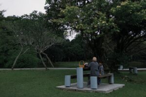 Emily Chan Instagram - 傍晚在公園散步，一個男子迎面跑來，向我點頭微笑。我不自覺緊繃起來，雖然也微笑回他，但防衛機制刷就上來了。還沒想好這人是否另有意圖，他就已經繞過我，繼續散步。

看著他離去的背影，他的跑步鞋和肩上的汗巾， 看起來已經跑了好一陣子。是我慢吞吞的散步擾亂了他的節奏，他只好慢下腳步等我讓位。

什麼時候變這樣了呢？以前明明相信人都是善良的。
大概是後來變得容易不安，才會第一時間就揣測他人的惡意吧。

前幾天看到一個實驗影片，研究員把幾個牙牙學語的小北鼻，和十幾條無牙無毒的蛇放在一個房間裡。北鼻們從來沒接觸過蛇，好奇又開心地撫摸它們，蛇也乖乖地捲縮在一旁。

顯然的，在房外的父母很不安，好幾次忍不住隔著觀察窗對北鼻說「他會咬你！」「我希望你不要摸它」「好噁心！」。

研究員對他們說「我們已經確認過這都是無毒的蛇，但你們可以進去告訴他們這很危險。」 但父母們都拒絕了，小北鼻們也安然無恙的跟蛇玩了一陣。

大部分的恐懼，都是被灌輸的。
如何分辨黑白也是，如何厭惡一個人也是。

單單感受善意就很忙了，
為什麼還要浪費時間去揣測別人的惡意呢？

今天散步紀錄完畢。

#emsaid