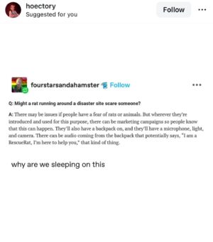 Emily V. Gordon Instagram - This post from @hoectory has brought me so much joy in the last few days that I wanted to share it. Kumail would walk into a room and I’d just be giggling to myself over this. 

Imagine you’re trapped in a collapsed building and a rat with a backpack on runs up and introduces itself? 
I couldn’t love this more.