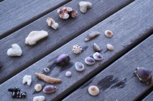 Emma Corrin Instagram - 🐚…..🦀…..

@sixsenseszilpasyon