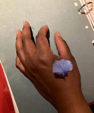 Emma D'Arcy Instagram - @kaylameikle_ 

[image description: a close up of someone’s left hand, lying palm-down on a blue page in an open ring-binder. On the hand, below the thumb, lies a blue petal.]