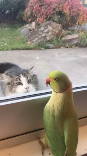 Erdal Özyağcılar Instagram - Prof.dr Oytun Erbaşla ilgili videoyu…gelen mesajlarınızın nabzını tutarak  kaldırıyorum…yerine bu videoyu koyuyorum.😂😂 Hedoni😳