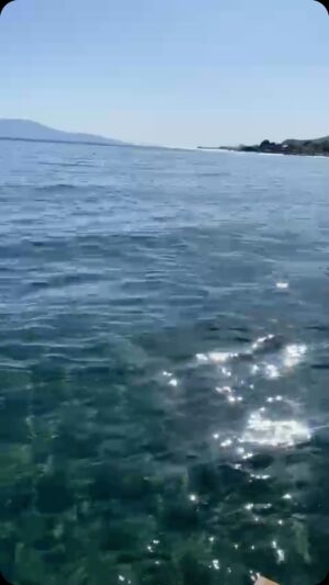 Erdal Özyağcılar Instagram - 