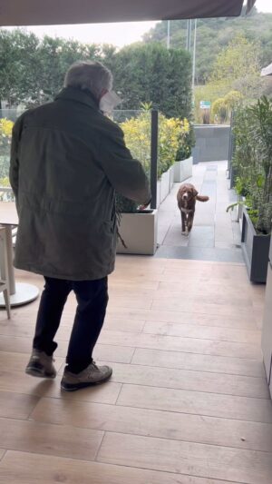 Erdal Özyağcılar Instagram - Tarçınları sevelim..yüreği ile bizimle konuşurlar onlar. ( Tarihten bir alıntı)
“Türkler tarih boyunca hayvanlarla iç içe yaşayan ve onlara tarih sürecinde oldukça önemli ayrıcalıklar tanıyan, onlara değer veren bir millet olmuştur. Türkiye’de hayvanseverleri bir araya getiren ilk resmi dernek İstanbul’da 1912 yılında “Himaye-i Hayvanat Cemiyeti” adı ile kurulur.  Nerden nereye yıl 1912,yıl 2024.