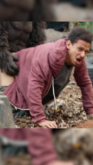 Eric André Instagram - We traumatized that kangaroo 🦘