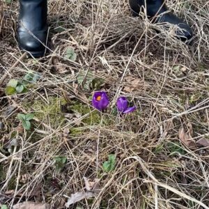 Erik Hagen Instagram - Nå blomstrer det på Biri 🌻🌼🌸🌺🥀god helg