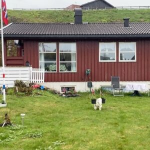 Erik Hagen Instagram - 17 mai trist vær 🌺🐝🦅