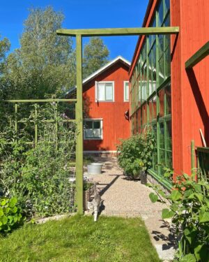 Erika Åberg Instagram - Bild 1, efter: Orangeriträdgården juli 2024
Bild 2, före: Samma plats juli 2023

I senaste inlägget visade jag några filmklipp från vår nya favoritplats där vi dricker morgonkaffet. Innan förvandlingen drog igång var det bara en knölig gräsmatta och ett gammalt äppleträd här. 

Äppelträdet bevarades men vi gjorde bland annat grusgångar som avgränsas med ”trösklar” av smågatsten. Portalen är över tre meter hög för att vara proportionerlig i förhållande till orangeriet, medan spaljén är ca två meter hög.