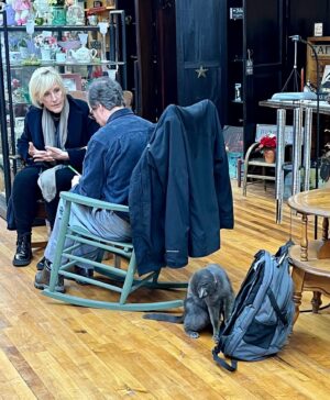 Erin Brockovich Instagram - Meet Grayson, the shop cat at Flowers A Gift From the Heart on Main St in East Palestine.

When we talk about dead pets in this town we are talking about family / community members.