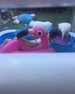 Erin Douglass Instagram - When Mom comes home from work to the Stay at home dad

That is a baby pool