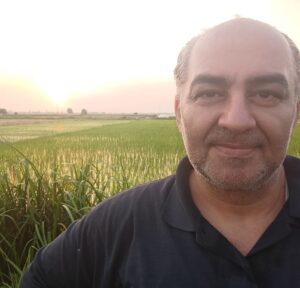 Esmael Barari Instagram - سلامی از زمینهای حاصلخیز برنج بابل!