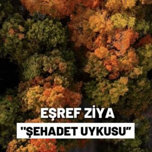 Eşref Ziya Terzi Instagram - Kara gözlerinde mahmurca gülüş 
Gayrı uyanılmaz uykunda mısın 
Kanın cemre gibi toprağa düşmüş 
Şehadet yolunun ufkunda mısın
.
Çizgilerle dolu ellerin yüzün 
Otuzun da mısın kırkın da mısın 
Bizi yalnız koyup göğe süzüldün 
Acın dayanılmaz farkında mısın
. 
Dudakların sanki bir şey söylüyor 
Yine aynı sevda şarkında mısın 
Melekler bile sana özeniyor 
Cennette döşenmiş tahtında mısın

Eser : Şehadet Uykusu
Söz : Abdülbaki Kömür
Müzik : Hakan Aykut
Albüm : Klasikler 2 ( 2003 )
.
#esrefziyaofficial #esrefziya #ezgi #şehadetuykusu #eşrefziyaezgileri #ezgiler #eskimeyenezgiler #albüm #marmaramüzik #eşrefziya #akustik #ilahi #enstrümantal #marmaramüzik #özgünmüzik #reels #albüm #klasikler