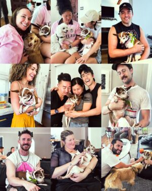 Eugene Lee Yang Instagram - Goodbye, Emma. For the past 13 years, you’ve been our best girl. The exemplification of how pets can be just as complex as people. Sweet, yet grouchy. Queen of the side-eye. Independent, but always in search of a warm lap. A little old lady at heart, and inevitably, in body as well. 

Your first pet as an adult is more consequential than can be expressed in words. The places you choose to live; the roommates you seek; the relationships you forge; and the next pets you adopt… all informed by a single, beautiful animal who becomes family. 

Thank you for shaping our lives, Emma. You’ll be missed dearly, but never forgotten. We love you and know you’ve found the warmest lap in the sky.