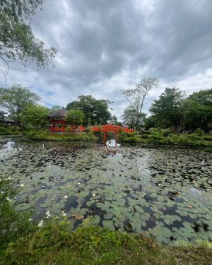 Fantastic Negrito Instagram - Another epic trip to the beautiful country of Japan !