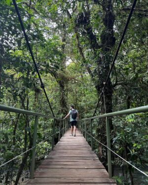 Félix-Antoine Tremblay Instagram - C’est dans ce genre de journée grise que j’aime me souvenir de ces moments inoubliables. ☀️ 🌺 🦎 #experiencetransat