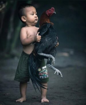 Ferit Yanık Instagram - Burası Ghetto’nun taa derin kalbi. 🐔