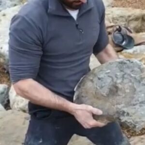 Fiann Smithwick Instagram - Popping a giant ammonite on the Jurassic Coast. 
🌊🐚🌊🦖
#fossil #fossils #art #geology #palaeontology #paleontology #paleo #curiosity #ancient #history #collect #collection #animal #animals #evolution #science #museum #jewel #collecting #treasure #ammonite #ammonites #jurassiccoast #beach #shell #shells #minerals #crystal #dinosaur #age