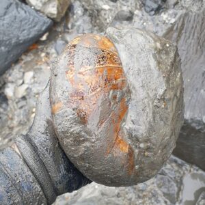 Fiann Smithwick Instagram - Here are some better shots of the nautilus fossil from my latest reel that I found recently on the Jurassic Coast beach of Charmouth. It's very unusual to find one like this free of matrix (extra rock) on this part of the Coast, they're usually inside hard limestone concretions (though still rare even then).
🌊🐚🌊
Nautilus fossils like these are strikingly similar to the shells of the living Nautilus despite being nearly 200 million years old. Unlike the much more common ammonites that died out with the dinosaurs 66 million years ago, the humble nautilus survived and still lives in tropical waters today. 
🐚🐙🐚🏖
#fossil #fossils #art #geology #palaeontology #paleontology #paleo #curiosity #ancient #history #collect #collection #animal #animals #evolution #science #museum #jewel #collecting #treasure #ammonite #ammonites #nautilus #shell #shells #jurassiccoast #minerals #crystal #dinosaur #age