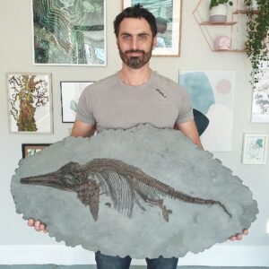 Fiann Smithwick Instagram - Here's another one of my best fossils from the Jurassic Coast - a pefect juvenile ichthyosaur from the Blue Lias of Lyme Regis. 
🌊🐬
This animal would have been pretty young when it sadly died 196 million years ago. It's hard to know what killed it so young as there's no evidence of any damage to the bones that would suggest predation or disease. 
🐬🦖🐬
It also must have sunk into the deep mud on the seafloor quickly as there's no evidence of scavenging that would have moved the bones around. 
🦈🦈🦈
I have replicas of this fossil for sale on my website - check out the link in my bio to see them. 

#fossil #fossils #art #geology #palaeontology #paleontology #paleo #curiosity #ancient #history #collect #collection #animal #animals #evolution #science #museum #jewel #collecting #treasure #jaw #jaws #tooth #teeth #rare #dinosaur #age #dinosaurs #ichthyosaur #bones