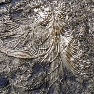 Fiann Smithwick Instagram - Christmas tree crinoid! This is part of an amazing crinoid fossil from the Jurassic Coast that is preserved with a layer of iron pyrite on the surface that gives it a natural golden shine.
🌟🌟🌟
The structures in this photo are the cirri, tentacle-like features that the animal used to cling to other crinoids in the colony and the substrate. 
🐙🐚🦠
#fossil #fossils #art #geology #palaeontology #paleontology #paleo #curiosity #ancient #history #collect #collection #animal #animals #evolution #science #museum #jewel #collecting #treasure #ammonite #crinoid #gold #golden #beauty #beautiful #minerals #crystal #dinosaur #age