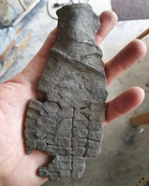 Fiann Smithwick Instagram - Here's a decent ichthyosaur front limb (colloquially known as a paddle) that I found a couple of years ago on the Jurassic Coast. 
🏖🌊🦈
I found it in bits and had to put it back together. I've still got a few more bones to reassemble but I've not yet figured out where they fit! If you swipe along, you can see what it looked like when still covered in shale before I removed it to reveal the detail of the bones. It's well preserved on both sides. 
🦈🐬🦈
These amazing bits of anatomy are some of the most exciting things to find as fossils. Sadly I don't have the rest of this animal, it was probably lost to the sea before I found this bit. 

#fossil #fossils #art #geology #palaeontology #paleontology #paleo #curiosity #ancient #history #collect #collection #animal #animals #evolution #science #museum #jewel #collecting #treasure #paddle #jaws #limb #hand #rare #dinosaur #age #dinosaurs #ichthyosaur #bones