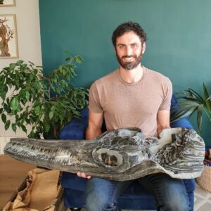 Fiann Smithwick Instagram - First post in a long time! I've been taking a social media break for a while, which I recommend every once in a while! As it's almost exactly nine years since I found it (on Easter day), I thought I'd share one of my best fossils once again. This massive Temnodontosaurus skull was in a big concretion in a cliff fall on the JurassicCoast. Sadly, the body wasn't there and the jaws were badly damaged by the sea, but @naturalselectionfossils did an incredible job prepping it from the rock and reconstructing the missing bits of the jaws. You can see this fossil on display at the Charmouth Heritage Centre alongside many other incredible fossils found by local collectors. 
🌊🐬🌊
#fossil #fossils #art #geology #palaeontology #paleontology #paleo #curiosity #ancient #history #collect #collection #animal #animals #evolution #science #museum #jewel #collecting #treasure #jaw #jaws #tooth #teeth #rare #dinosaur #age #dinosaurs #ichthyosaur #bones