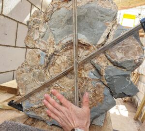 Fiann Smithwick Instagram - I've spent the day putting a giant ammonite back together. I found the first half of this huge Asteroceras stellare ammonite about a month ago in a cliff fall, but there was no sign of the other half. Then, last week I found the other half in a huge concretion freshly washed out by the sea. 
🌊🌊🐚🌊🌊
Each piece was huge and weighed well over 100 kg, so I had to whittle them down on the beach to be able to carry them home. Luckily, the two halves fit back together nicely. I still need to do plenty of prep work on this one, but it's already impressive for its size (over 75 cm). I've only ever found one specimen of this species larger than this (which is still on the prep pile waiting for a rainy day). 
🐚🐙🐚
#fossil #fossils #art #geology #palaeontology #paleontology #paleo #curiosity #ancient #history #collect #collection #animal #animals #evolution #science #museum #jurassiccoast #collecting #treasure #ammonite #ammonites #shell #shells #huge #beach #minerals #crystal #dinosaur #age