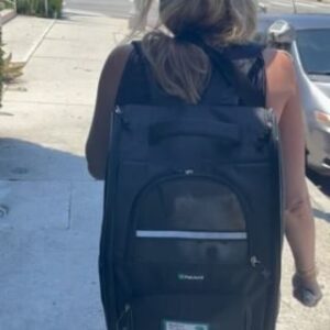 Fortune Feimster Instagram - Jax and I have become those lesbians. What do you think of Biggie’s new backpack?