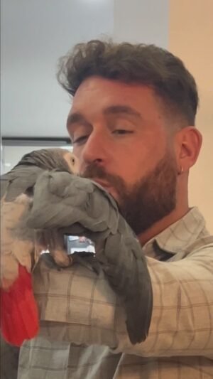 Fran Antón Instagram - Amigo de los animales ♥️