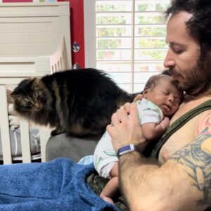 Gabourey Sidibe Instagram - For those of you wondering how Aaron and Derrell are feeling with the arrival of the twins,  they are protective and jealous and not at all aggressive with them. They both patrol the nursery a few times a night for safety checks😽👶🏽😽👶🏻