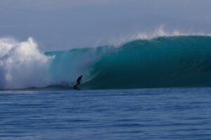 Gabriel, O Pensador Instagram - Saudade de sair feliz de um tubão assim igual ao @gabrielmedina na foto emblemática no Tahiti! É uma das melhores sensações possíveis, dificil explicar, euforia, adrenalina, coragem e medo, conexão com a natureza, superação, muita coisa boa… por isso mesmo imagens descrevem melhor do que palavras. Nosso time do @cbsurfoficial está inspirando muita gente e me deixou louco pra voltar a desafiar as bombas! 💣🌊 Vamo Brasiiil!!!🇧🇷
Música Obrigado mar por isso tudo feat. @makuarothman Fotos @kanduivillas @hiddenbayresortmentawais e @sacraficialamb