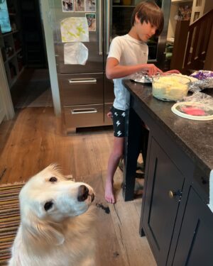 Genevieve Padalecki Instagram - Dog days of summer are almost over!  Celebrating our sweetest boy on international dog day. Arlo, you’re pure joy on four paws. ❤️