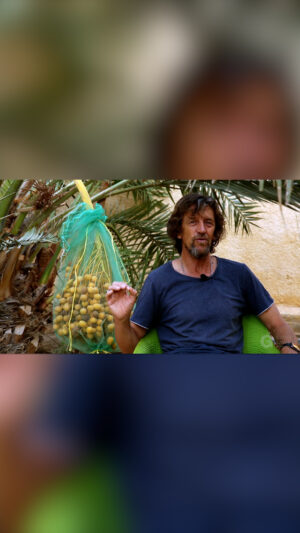 Geoff Lawton Instagram - Ancient agriculture, date palms, small gardens, and permaculture in hot, arid lands 🌵🌿 Follow Discover Permaculture with Geoff Lawton to learn more. 

#permaculture #discoverpermaculture #agriculture #perennialagriculture #sustainable #sustainability #sustainableagriculture #garden #gardening #ancientagrisculture #drylands #datepalms