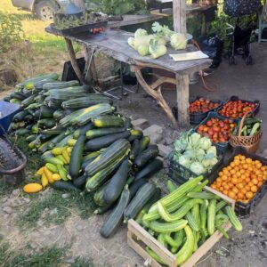 Geoff Lawton Instagram - This much produce comes in every day at our partner project, The Permaculture Research Institute Hungary (https://pdc.permaculture.hu) 🌱🥒🥦🍅

#permaculture #discoverpermaculture #sustainableliving #organicfarming #dailyharvest #permaculturehungary #growyourownfood #localproduce #sustainableagriculture #ecofriendly #greenliving #permaculturedesign #farmtotable