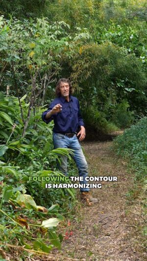 Geoff Lawton Instagram - What is contour and why is it important? 

#permaculture #discoverpermaculture #permaculturedesign #design #contour #naturalpatterns #landscapedesign #gardening #sustainablegardening #watermanagement #swale #harvestwater #waterharvesting #soilhealth #regenerativeagriculture