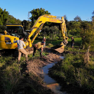 Geoff Lawton Instagram - Geoff is redesigning the spillways for his three ponds near his house at Zaytuna Farm. Each pond has two spillways that connect and cascade to the next pond. 

#permaculture #discoverpermaculture #permaculturedesign #harvestwater #waterharvesting #spillway #pond #dam #aquatic #ecosystem #zaytunafarm