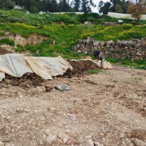 Geoff Lawton Instagram - The Jerash University Permaculture Project is making significant progress in Jordan. They are transforming this standard olive monoculture orchard into a food forest using various sustainable techniques such as support species and water harvesting swales. They have also established a crop-growing system in a polytunnel using smart chicken composting systems. The chickens produce eggs and brood chicks for meat and create all the compost fertilizer needed for the crop system. They use a tractor with a wood chipper and compost turner attachment to turn compost quickly and efficiently. 

The project is funded by the Adaptation Fund, with implementing partner UN Habitat and executing entity the Permaculture Research Institute. It offers hands-on permaculture education to students and reaches out to local villages and refugee communities, bringing hope for a secure and sustainable future for all. Geoff has also adapted his online permaculture design course for 200 aid recipients.

#permaculture #discoverpermaculture #foodforest #waterharvesting #swale #compost #fertilizer #garden #desertgarden #jerashuniversity #foodsecurity #watersecurity #waterscarcity #climateadaption #RWSCC #تغير_المناخ

w/ @UN-Habitat بالعربية @UNHabitatJORDAN @adaptationfund @unescwa @UnHabitat @adaptationfund @greeningthedesertprojectii