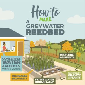 Geoff Lawton Instagram - Ready to transform your household greywater into a thriving ecosystem? Discover how with our latest infographic, offering a step-by-step guide on creating greywater reedbed systems. By harnessing nature's filtration power, you'll not only conserve water but also save money and prevent downstream pollution.

Interested in diving deeper into permaculture? Geoff's online Permaculture Design Certificate course provides comprehensive training in designing regenerative systems like these and much more! Click the link in our bio to learn more and sign up today! 

#permaculture #discoverpermaculture #permaculturecourse #greywater #reedbed #gardening #irrigation #greenliving #greendesign #sustainable #sustainableliving #sustainability #ecofriendly #waterconservation #recycling #recyclewater #environmentallyfriendly #renewableresources #organicgardening #howtomake #diy